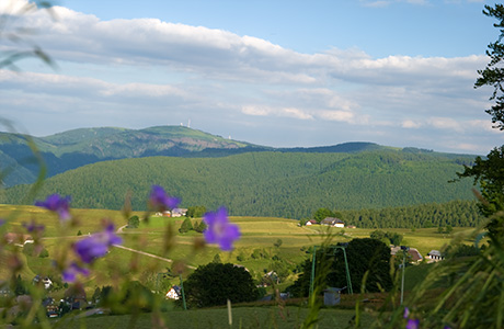 Feldberg