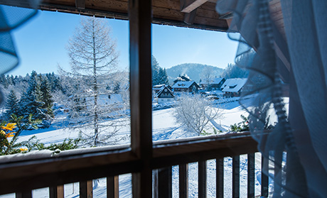 Ferienwohnung in Hinterzarten - Südlicher Schwarzwald