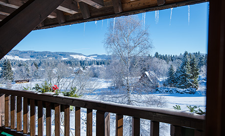 Ferienwohnung in Hinterzarten - Südlicher Schwarzwald