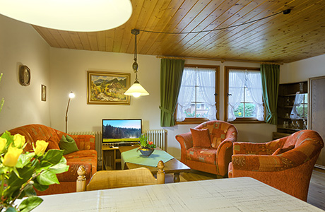 Ferienwohnung in Hinterzarten - Südlicher Schwarzwald