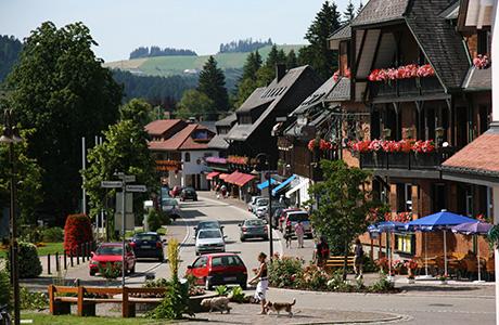 Ferienwohnung in Hinterzarten - Südlicher Schwarzwald