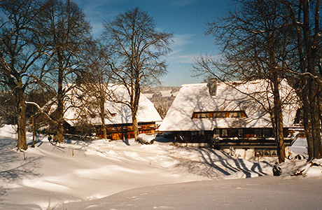 Ferienwohnungen in Hinterzarten