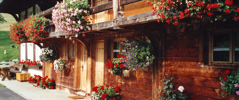 Ferienwohnungen in Hinterzarten