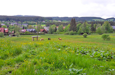 Ferienwohnungen in Hinterzarten